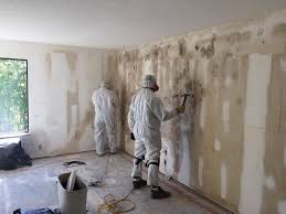 Professional Mold Removal & Remediation in Poplar Cotton Center, CA